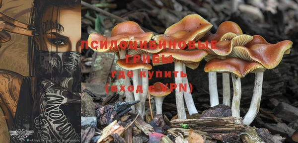 бошки Абаза