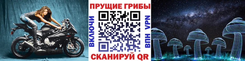 Псилоцибиновые грибы мицелий  Иланский 